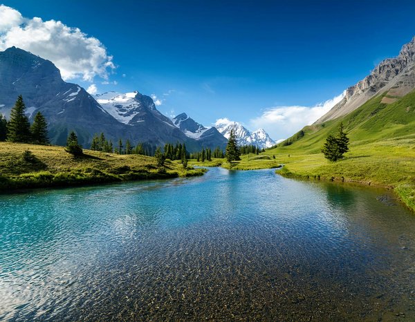 Comment assister à des festivals de cinéma en plein air en France?